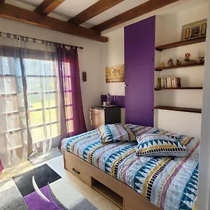 Séjour chez l'habitant Maison Le Lézard Chez Amalia Et Fred, Thonon-les-Bains